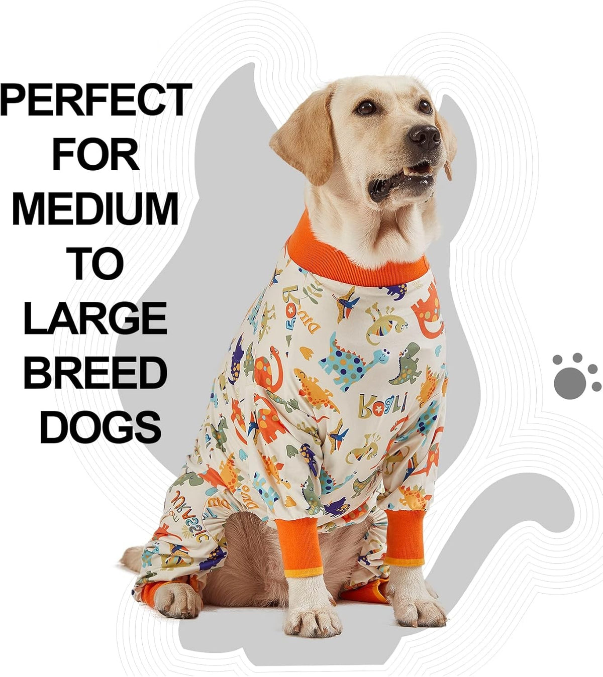 Dinosaur Dog Pajama